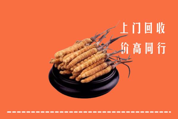 枣庄回收散虫草