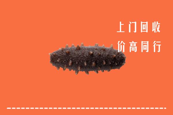 枣庄高价回收海参